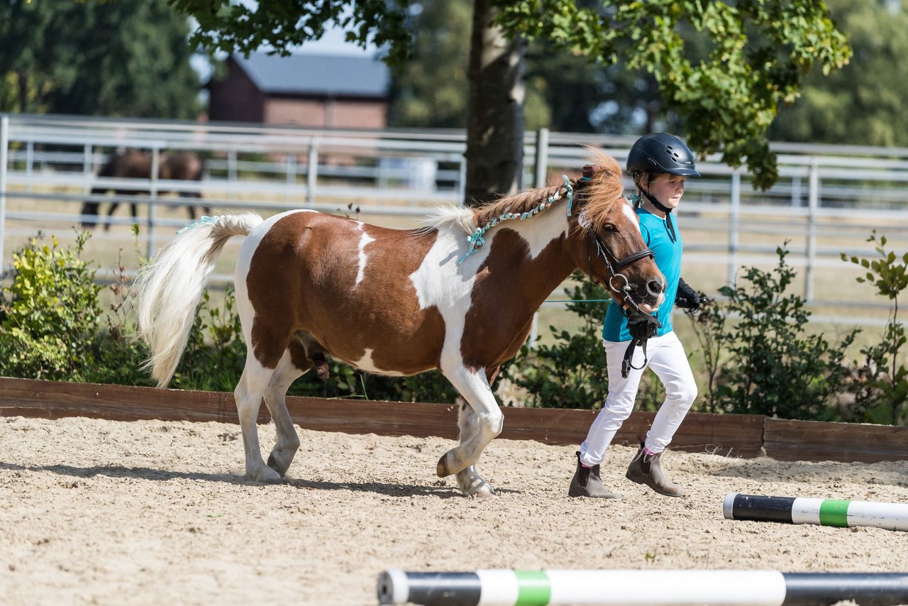 Bild 210 - Pony Akademie Turnier